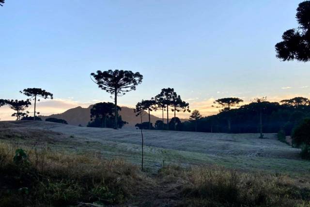 Massa de ar polar e seco promove temperaturas negativas em algumas cidades do Estado.