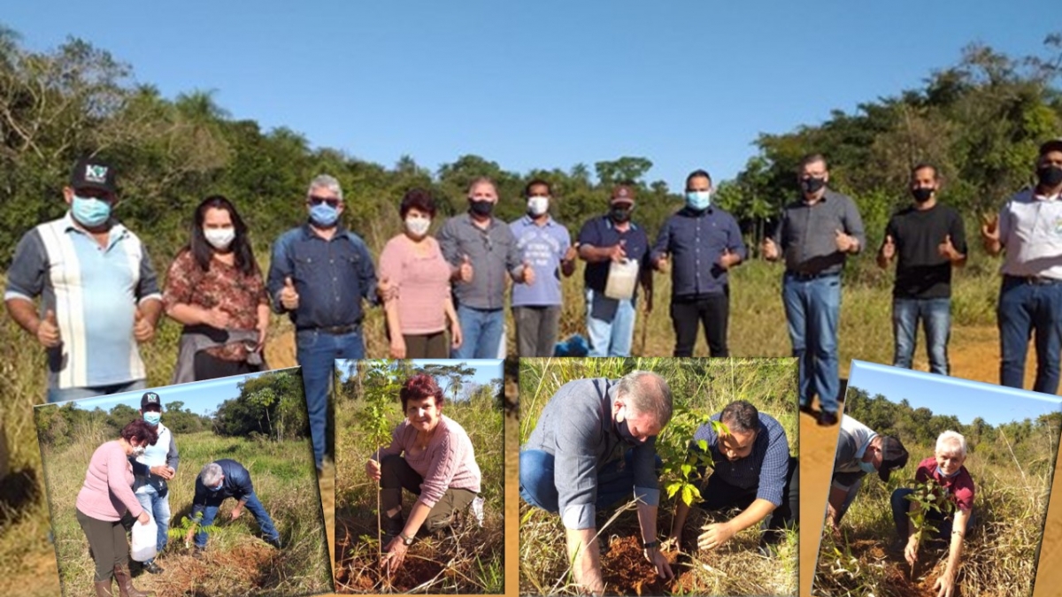 Secretaria de Meio Ambiente e Turismo promove plantio de mudas  às margens do Córrego Cobrinco