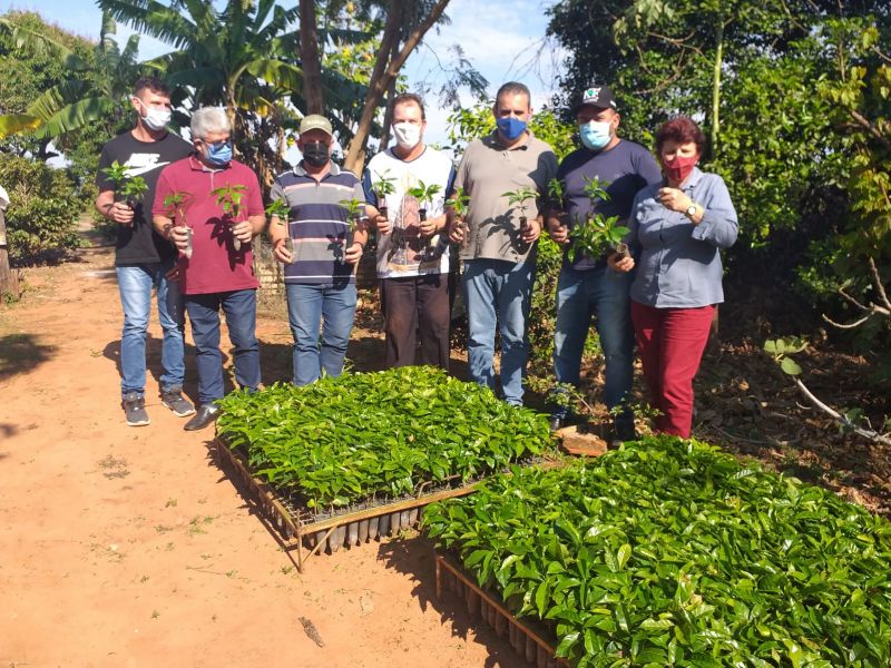 Mudas de café são entregues ao pequeno produtor rural de Icaraíma. 